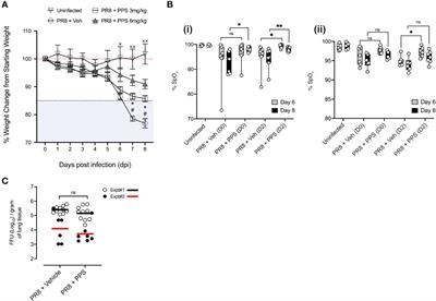 Anti-inflammatory actions of Pentosan polysulfate sodium in a mouse model of influenza virus A/PR8/34-induced pulmonary inflammation